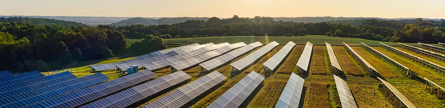 カンボジアの太陽光発電案件入札はどこが違うのか。